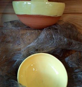 Bols jaunes et verts.jpg